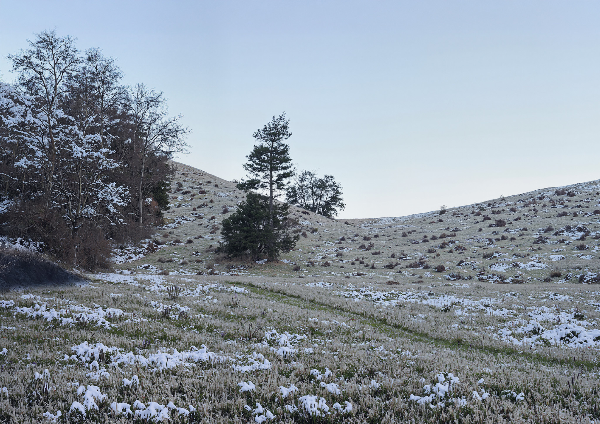 landscape render of the Sorø Støjvold noise barrier planting through the seasons